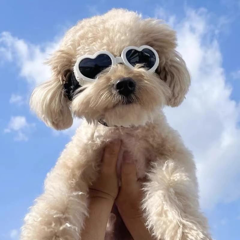 Small Dog Sunglasses UV Protection Goggles Eye Wear Protection