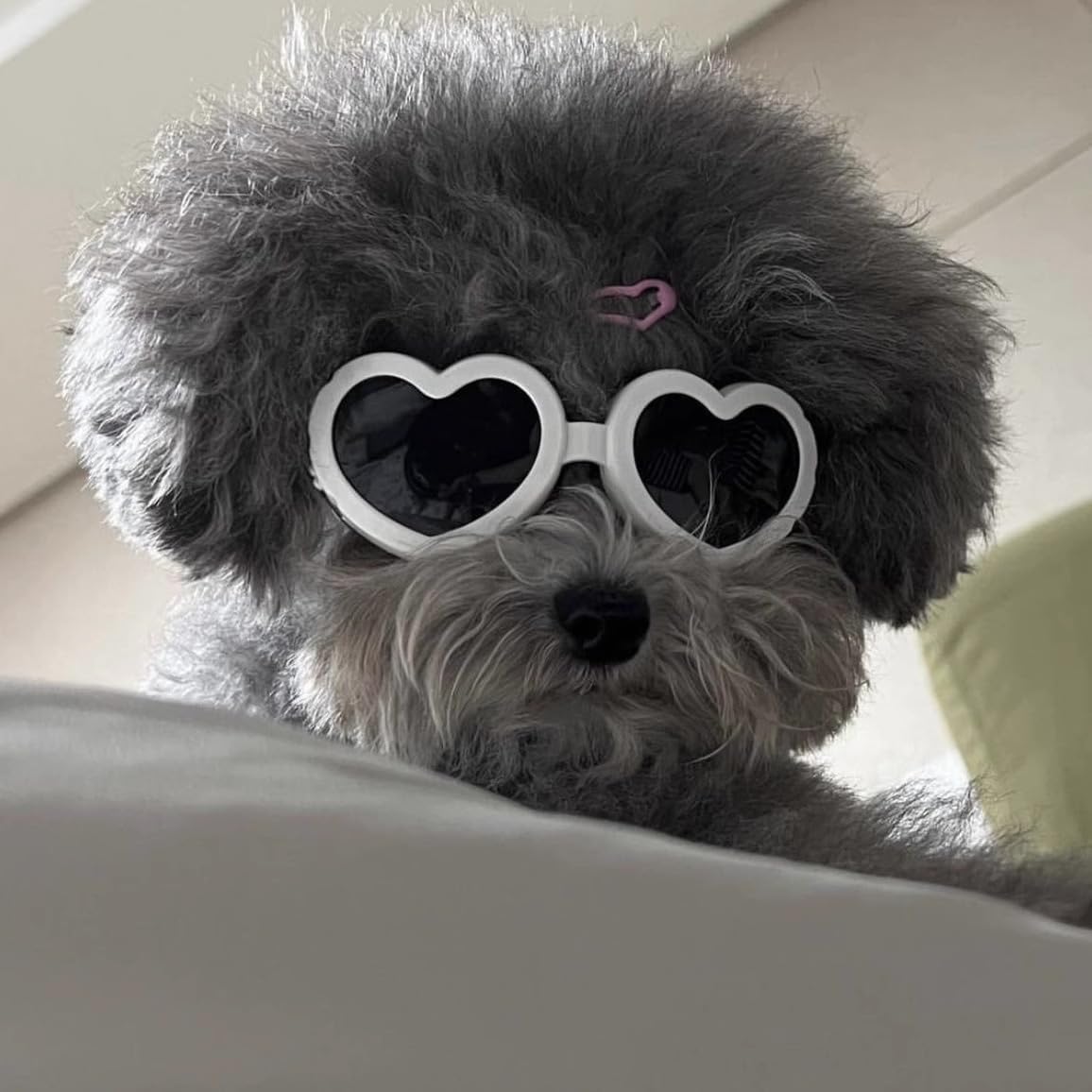 Small Dog Sunglasses UV Protection Goggles Eye Wear Protection