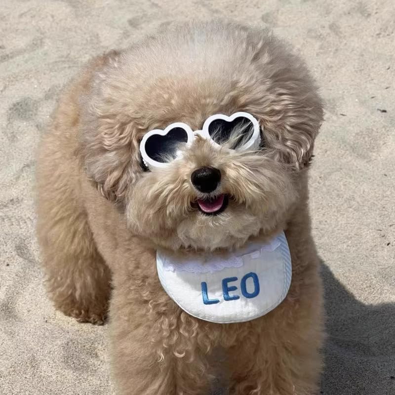 Small Dog Sunglasses UV Protection Goggles Eye Wear Protection