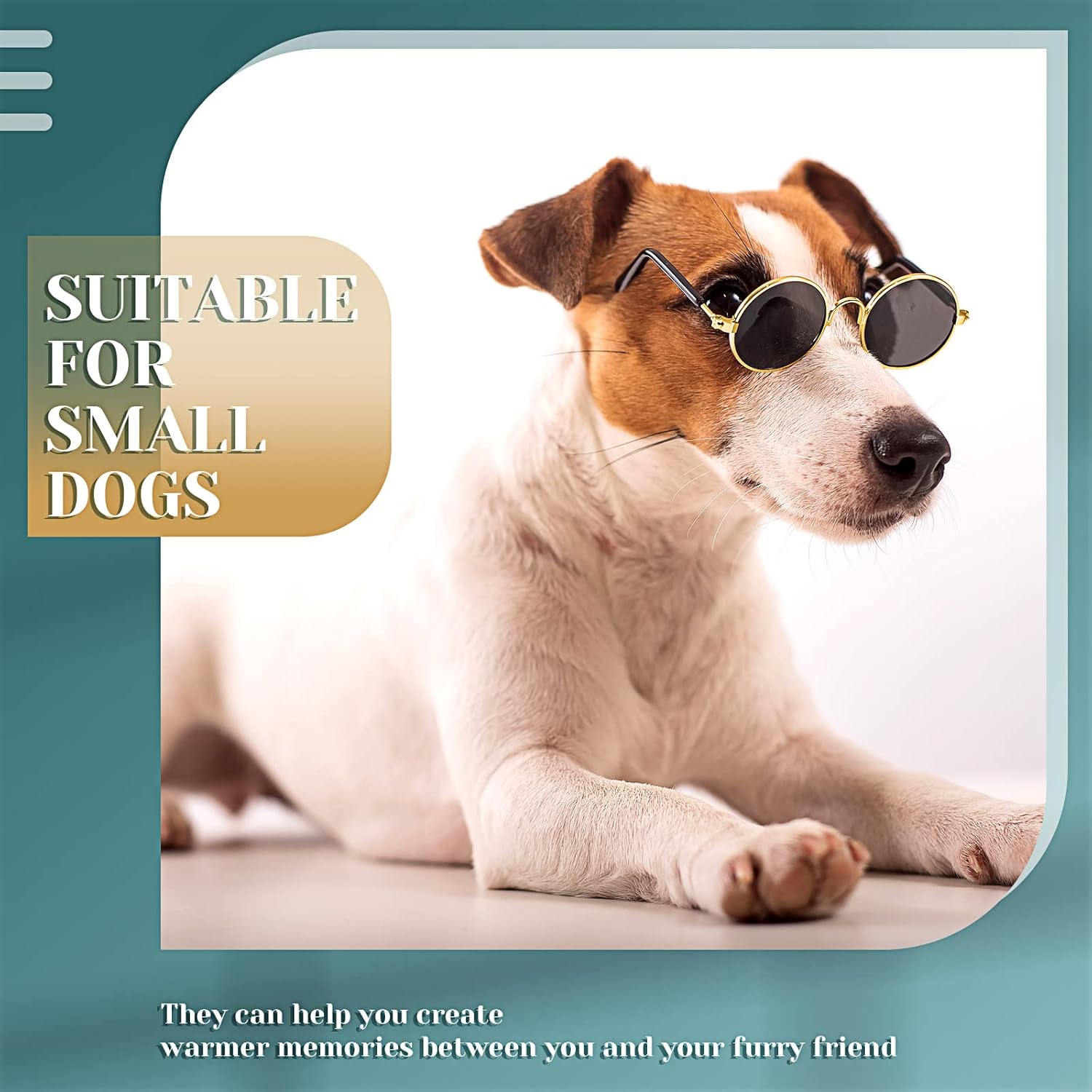 Dog Sunglasses Retro Pet